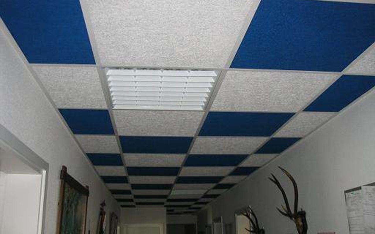 Corridor Ceiling